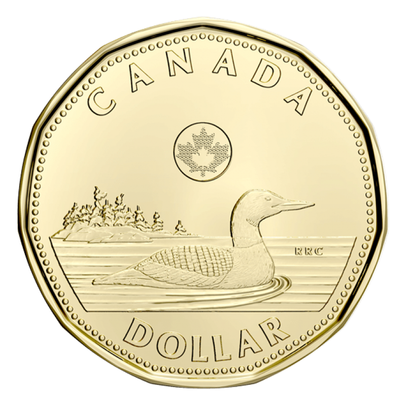 ONE DOLLAR FOR CAMP WAKANDA FOREVER